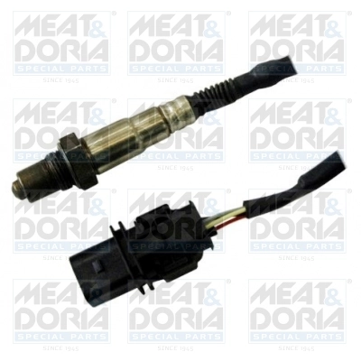 Oxygen Sensor